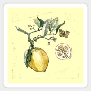 lemon Sticker